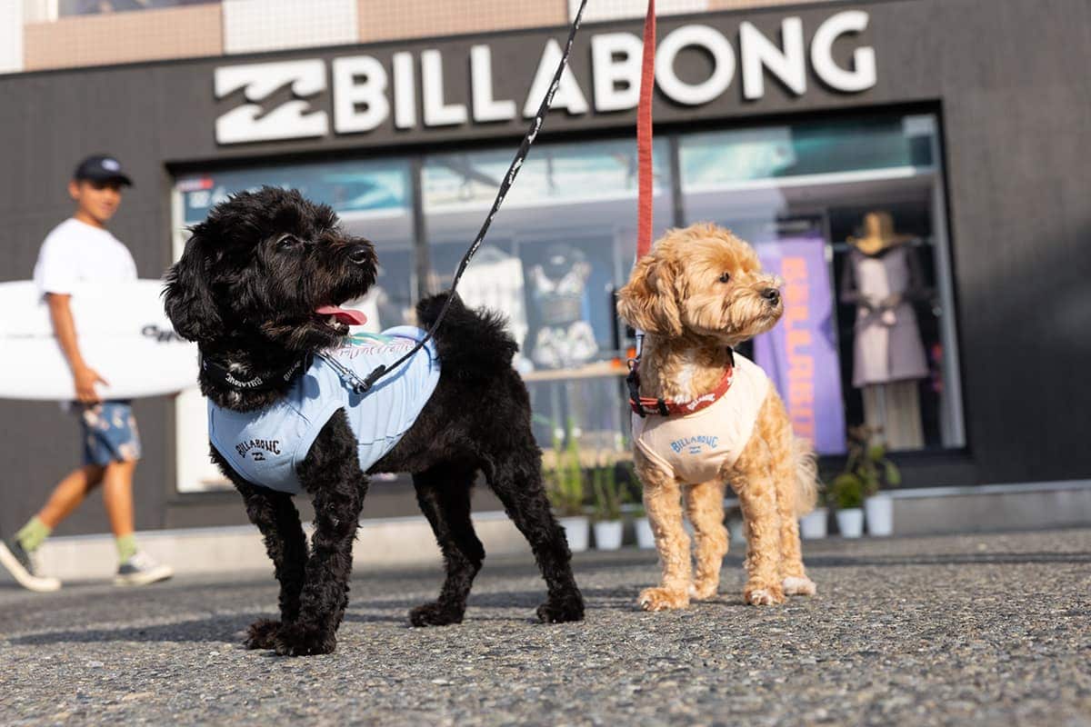 〈BILLABONG〉DOG WEAR