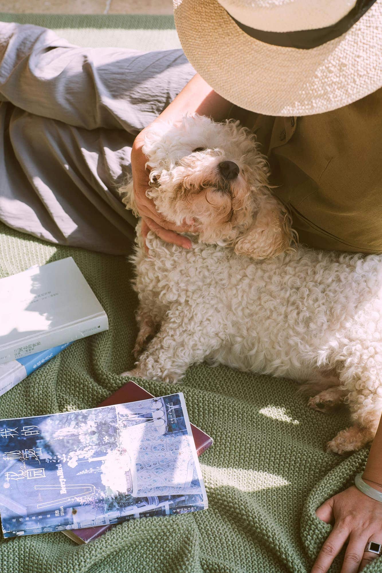「わからない」を科学で照らす — 犬との暮らしを再設計する一冊