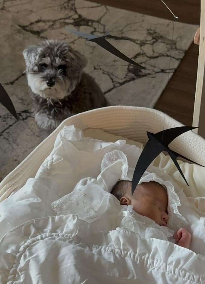 Avery & Gabriel