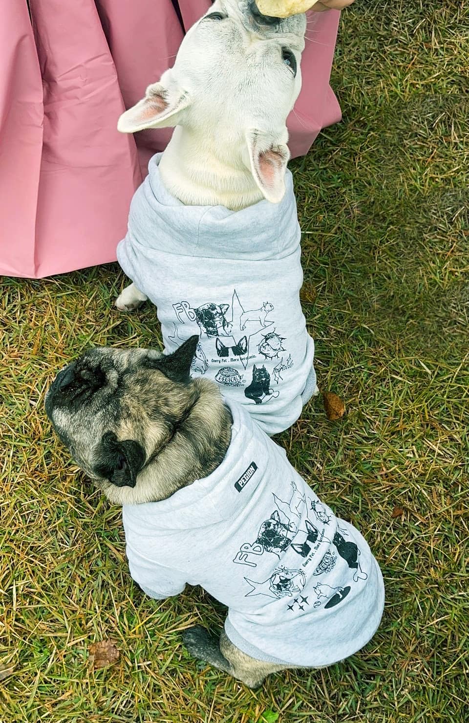 フレブルと街を歩く — PEGIONのグッズでつむぐ時間