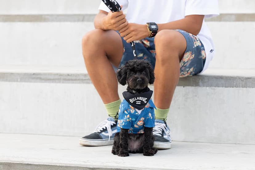 BILLABONG DOG WEAR
