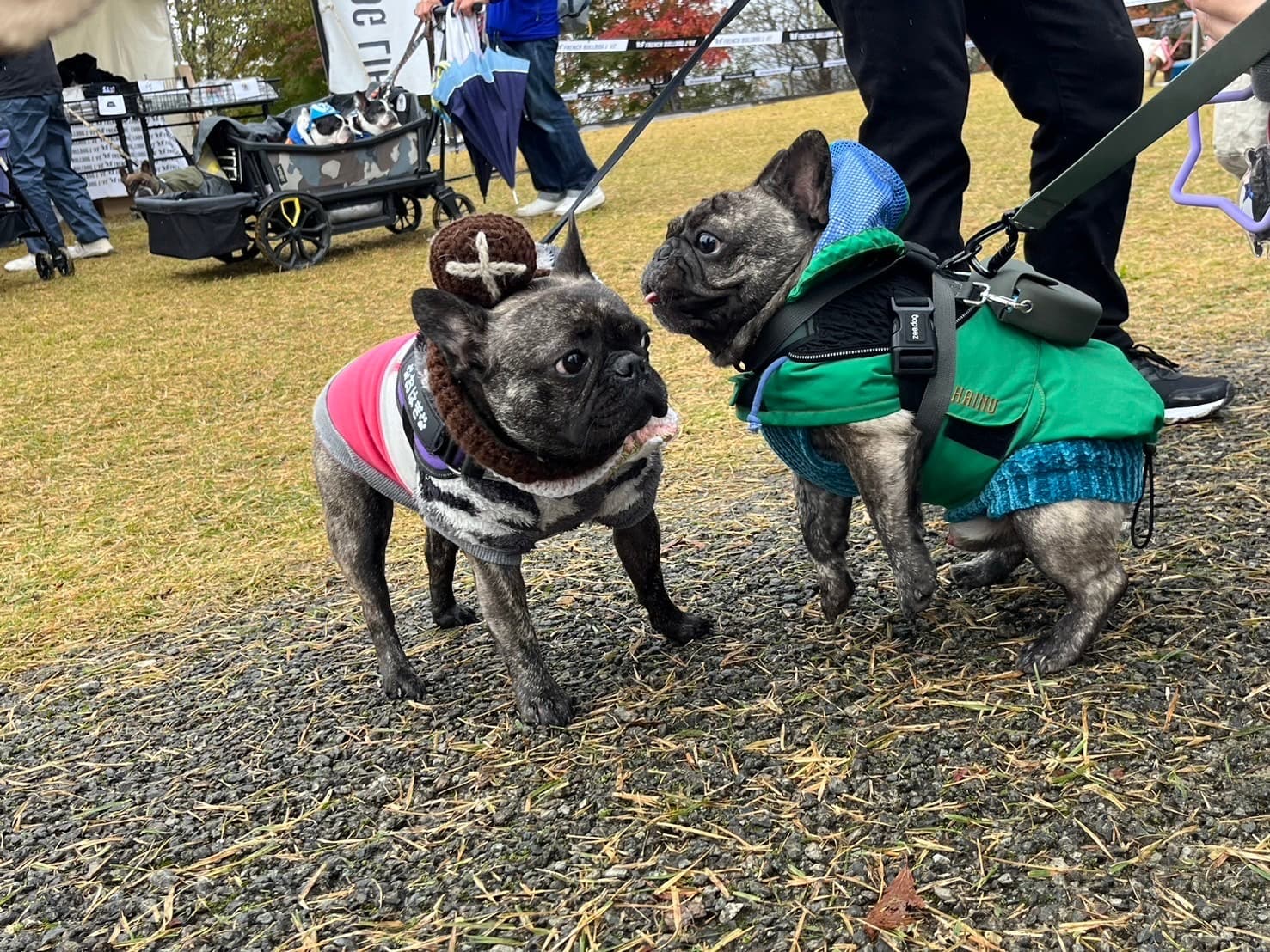 Pedi SNSで出会ったおはぎ