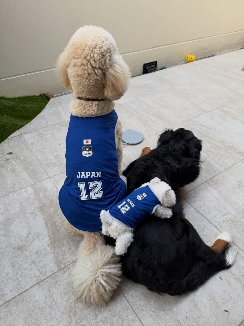 LAUW クールJAPAN WEAR