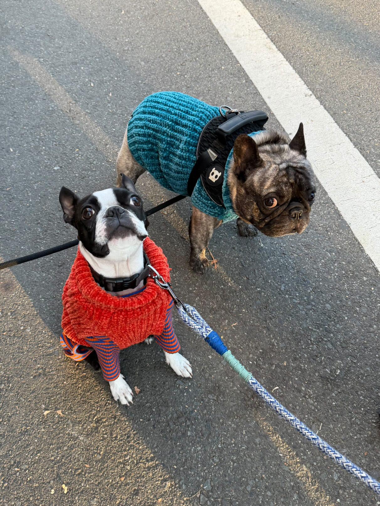 冬色ニットの、小さなシンメトリー