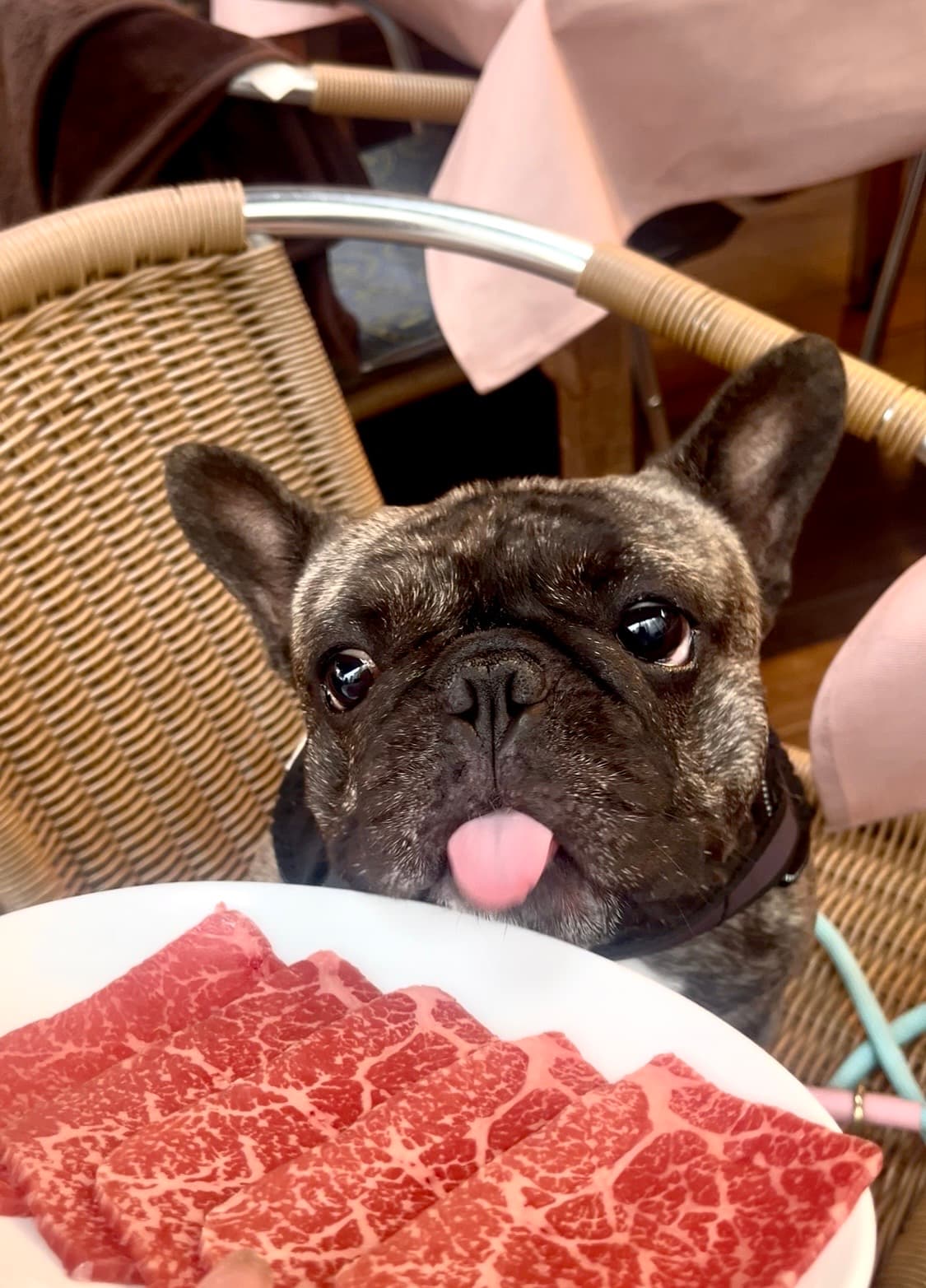 バレンタインの夜、肉を焼く