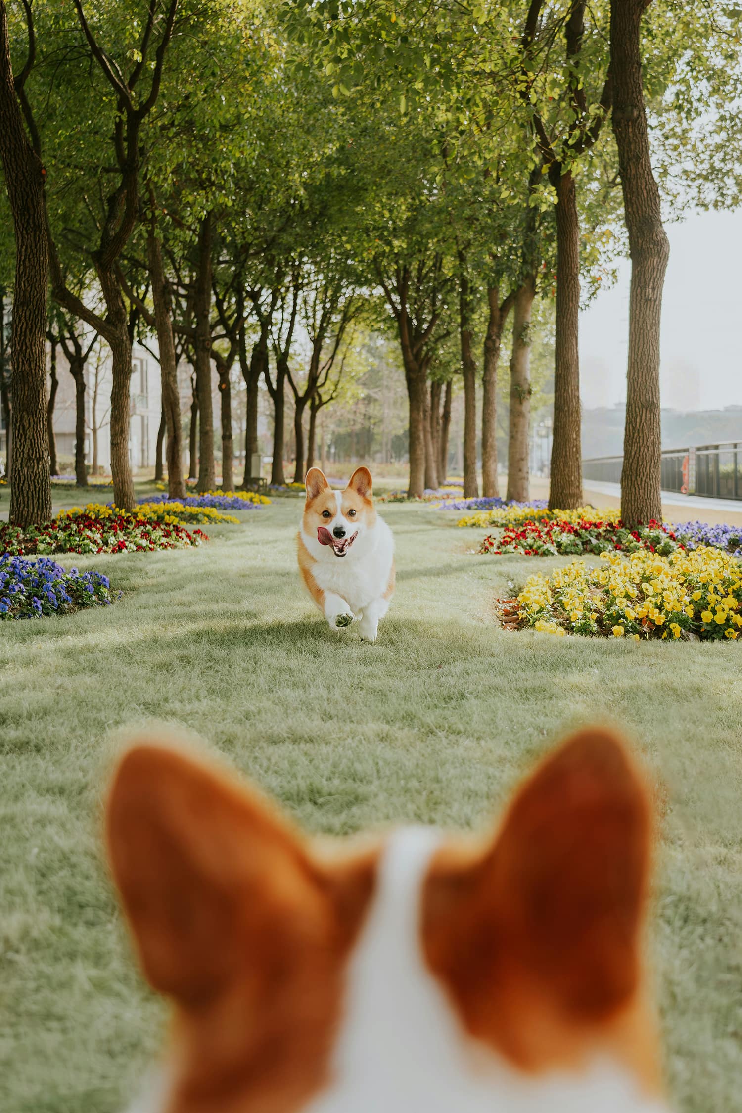 春の兆しを歩く