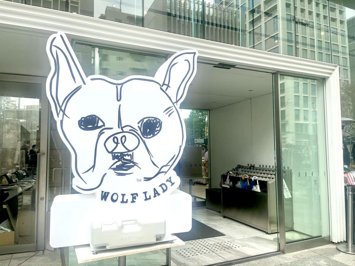 譲渡会という選択