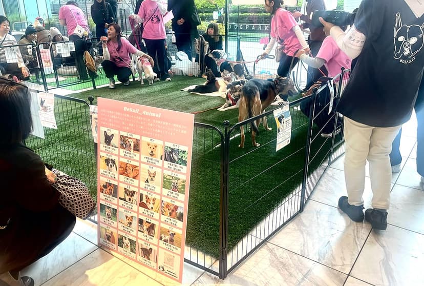 譲渡会