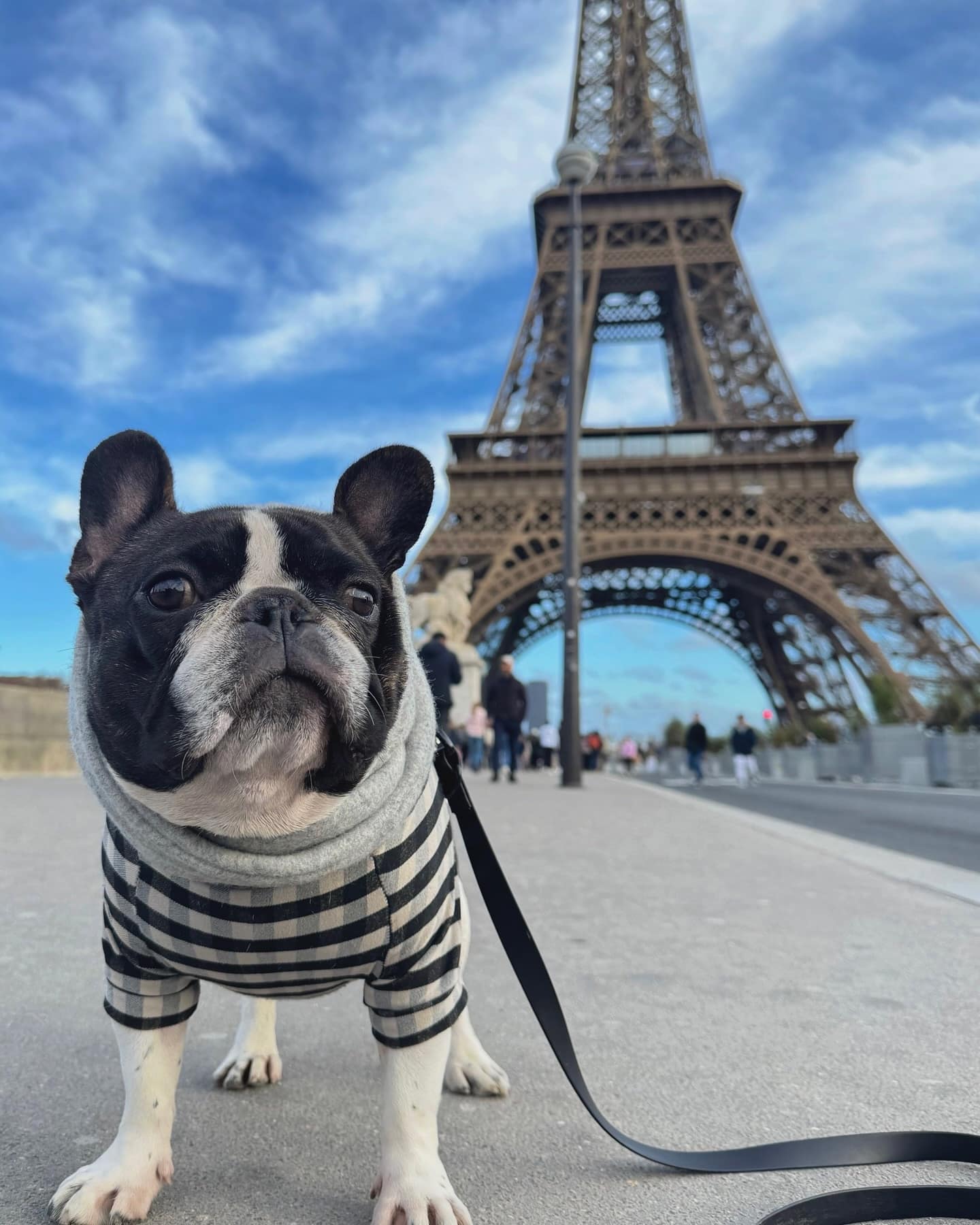 クロム、パリへ —— abu Paris支店長の渡航日誌~渡航編~