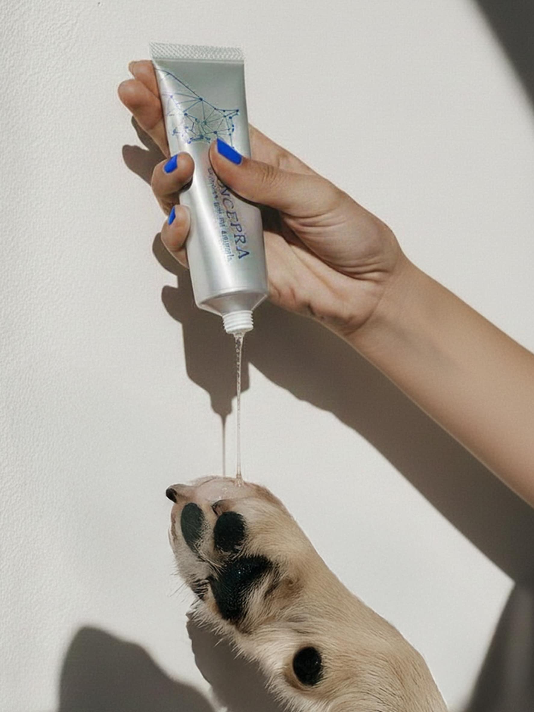 「うるおい」から、その先へ。アンセプラが再定義する犬のスキンケア