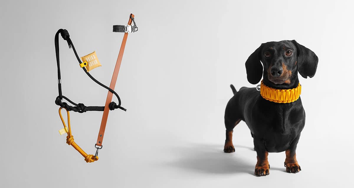 VALKA KUKURのBODYリードを肩にかけた着用イメージ