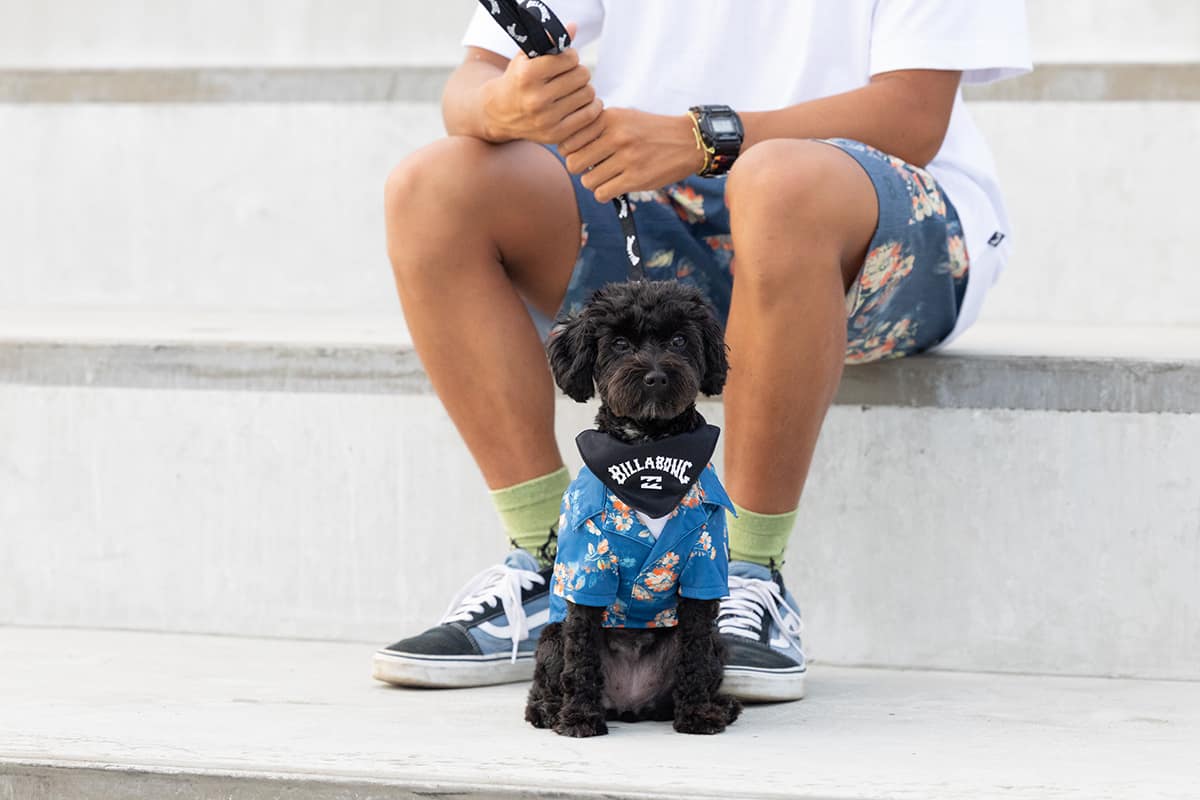 BILLABONG DOG WEAR