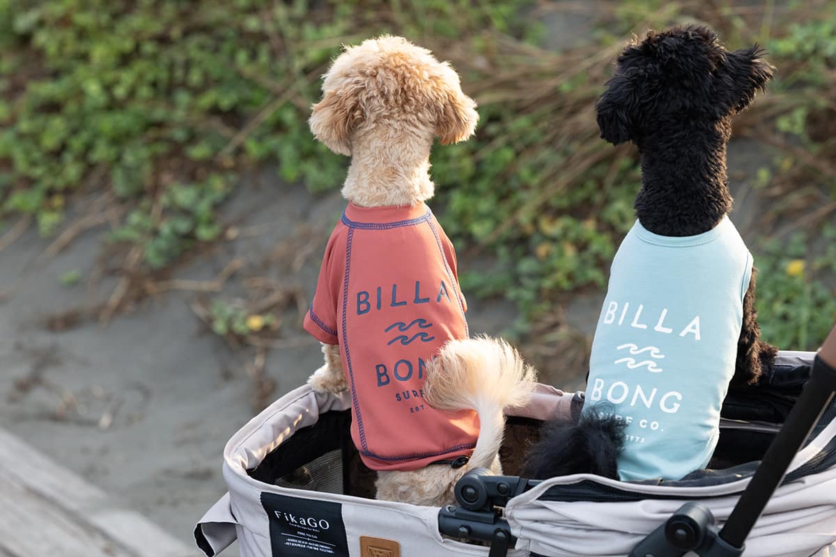 BILLABONG DOG WEAR