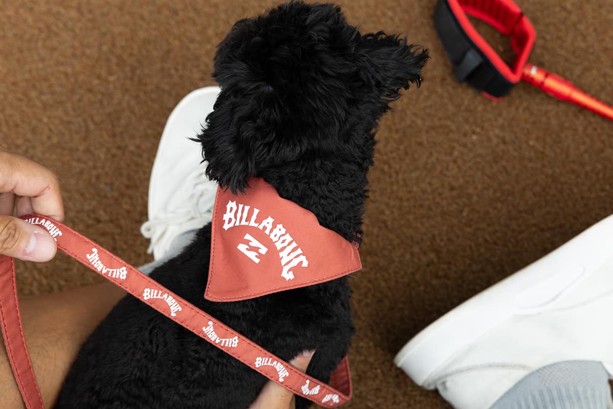 BILLABONG DOG WEAR