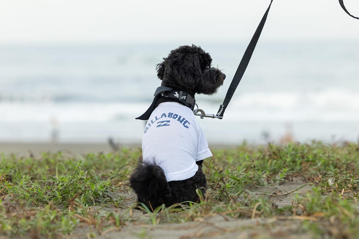 BILLABONG DOG WEAR
