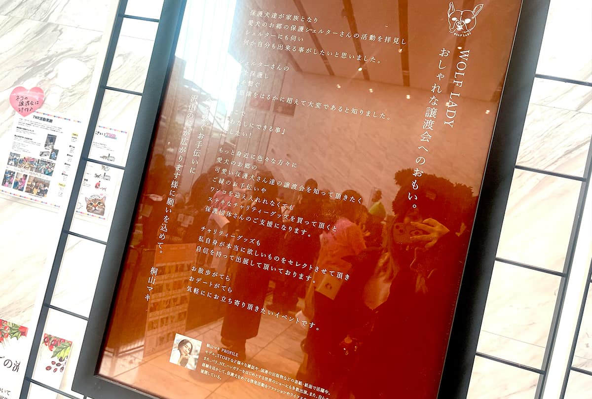 譲渡会のポスター