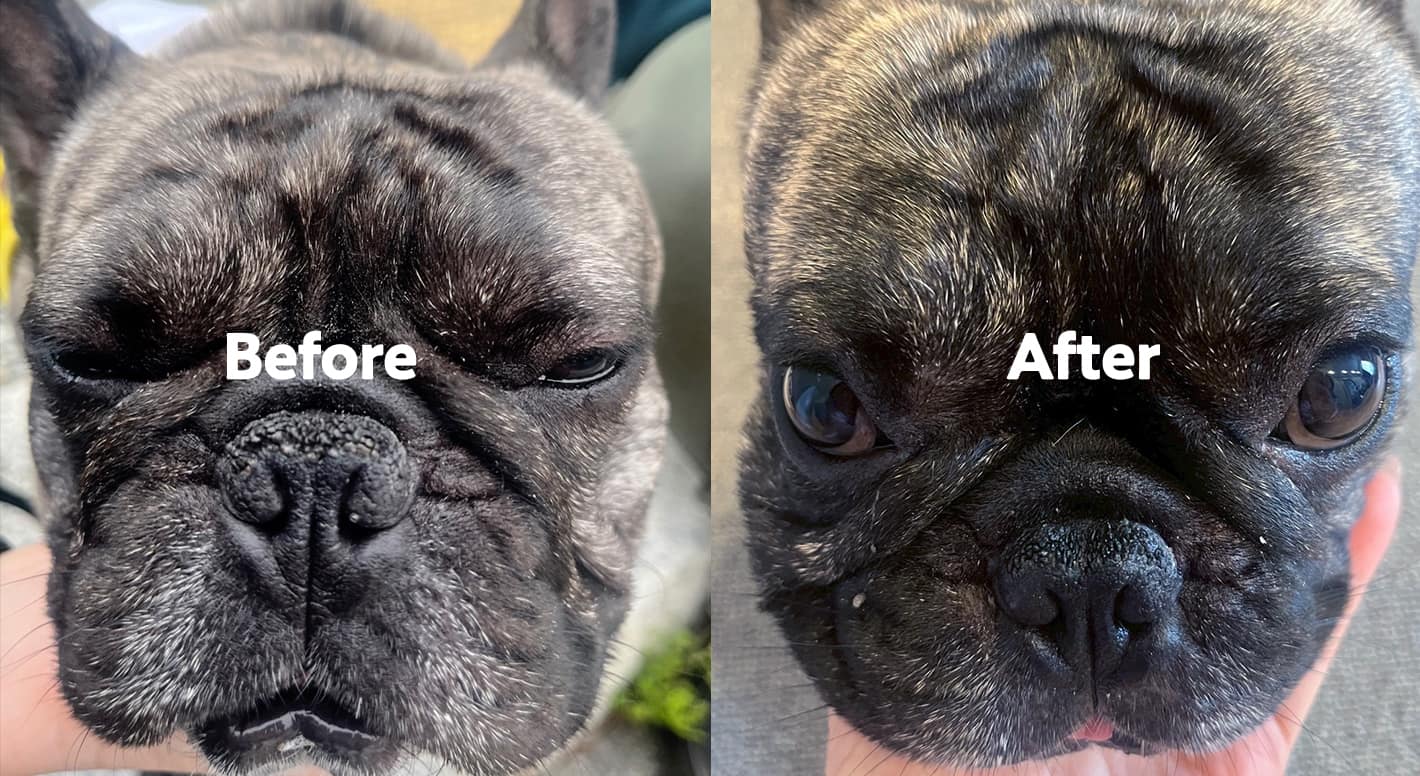 ざらつきがやわらいだ変化は、写真でもわかりやすい。