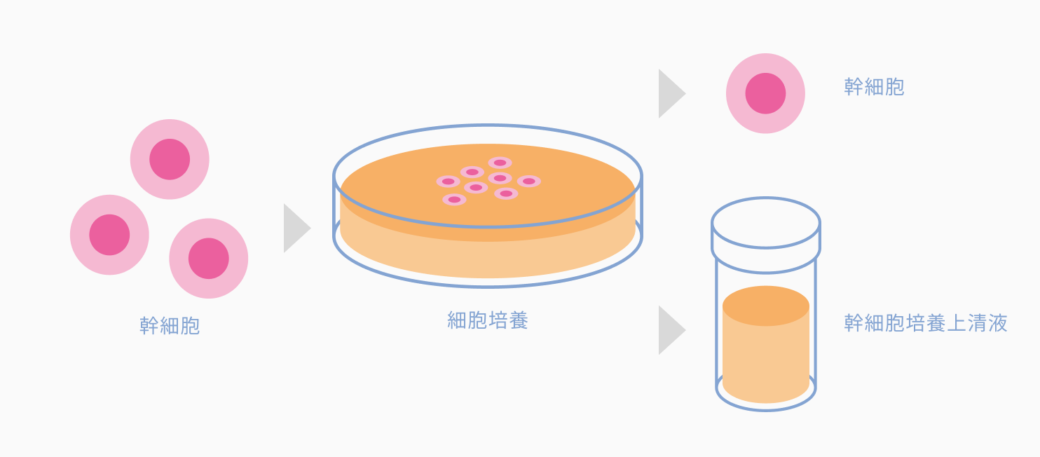 幹細胞培養上清液の説明図